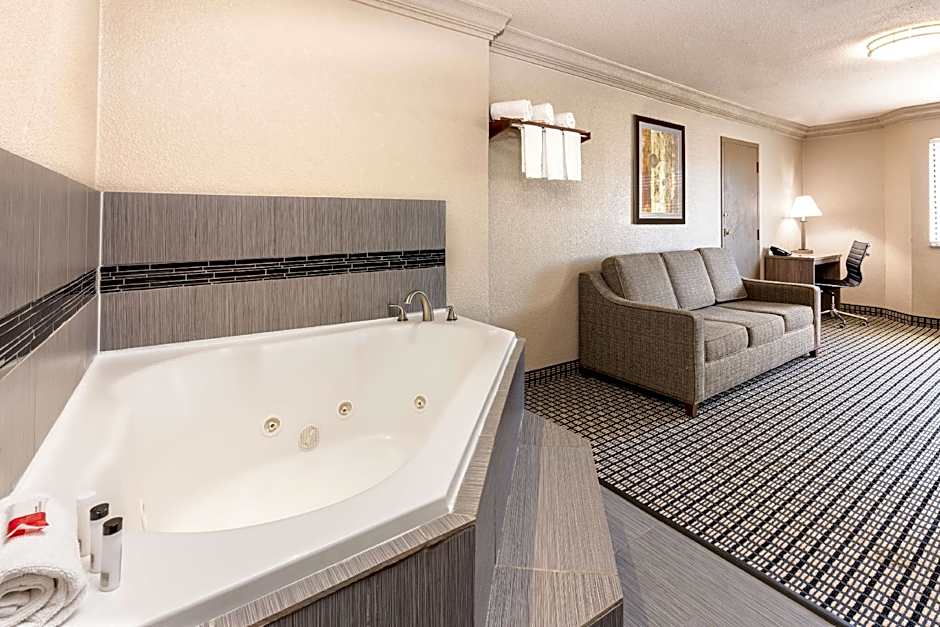 Ramada by Wyndham Houston Intercontinental Airport South