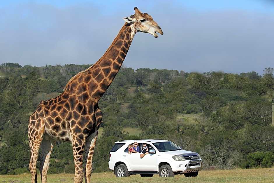 Kragga Kamma Game Park