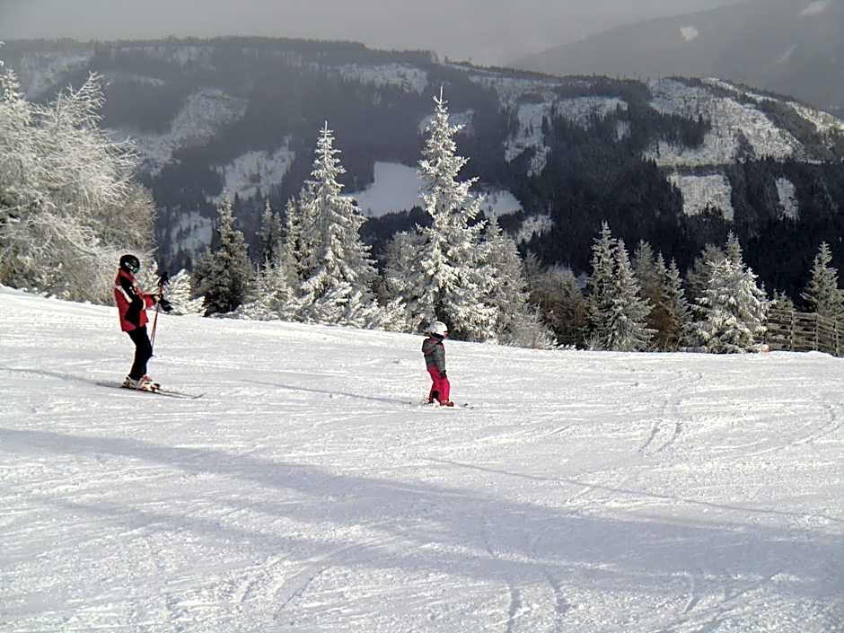 Hotel Pension Schwaiger