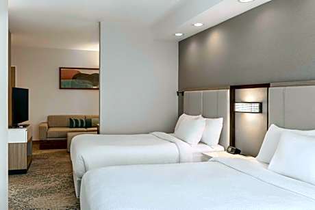 Queen Studio with Sofa Bed