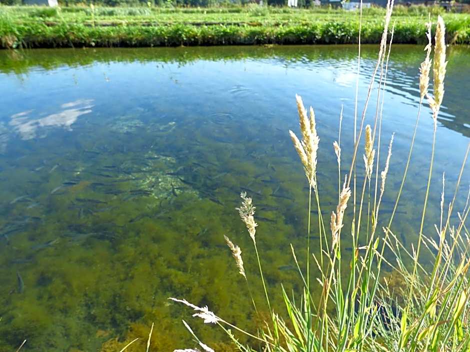 Wieselmühle Forellenhof