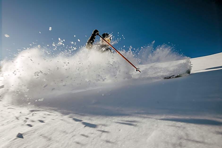 Hotel Der Schmittenhof