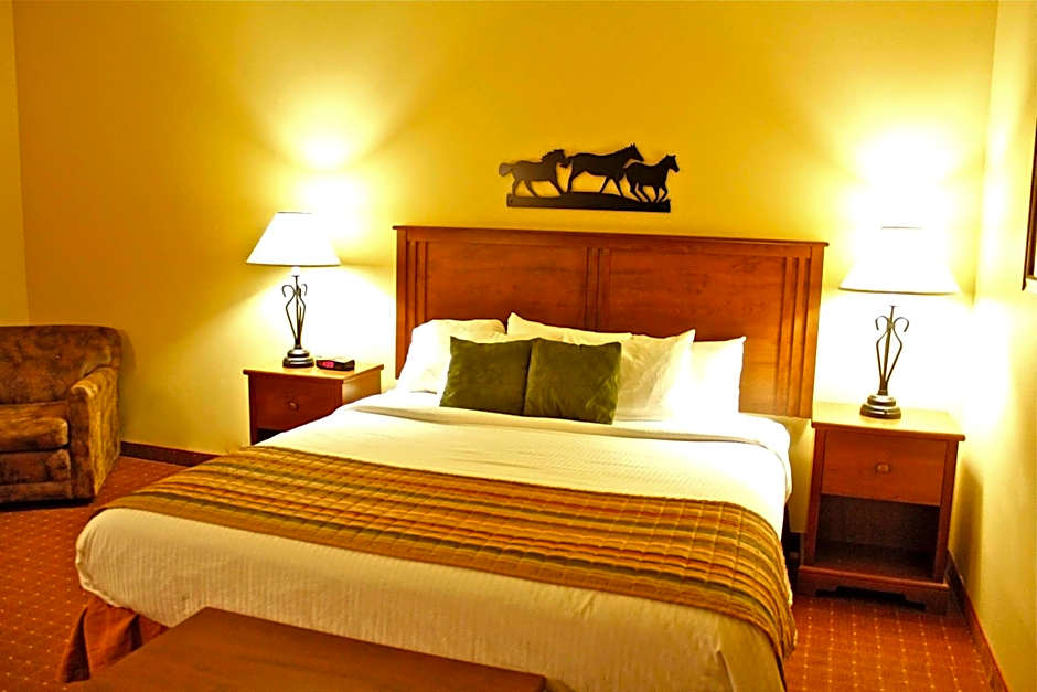 Photo 1 of 6 of 1 King Bed, Accessible