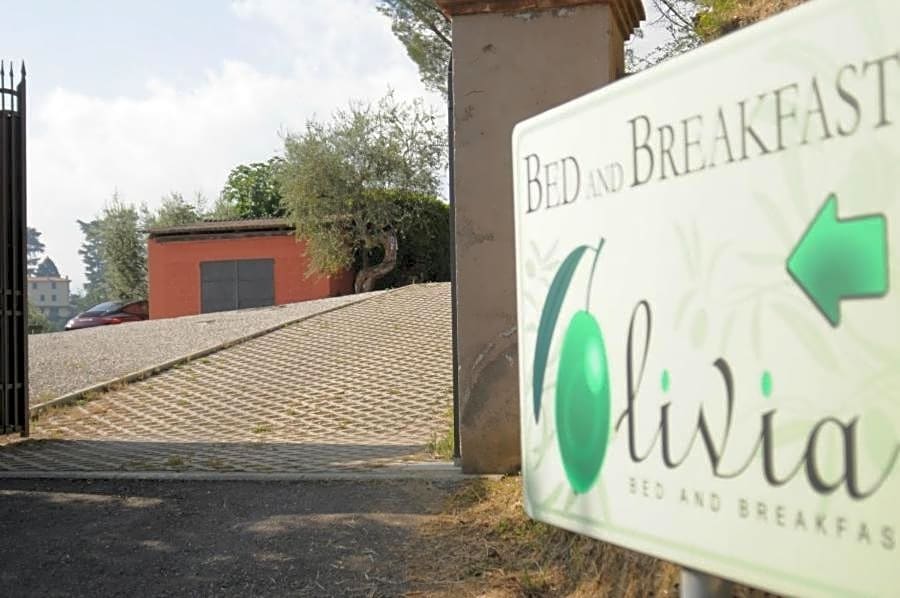 Olivia B&B and Apartment