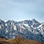 Lone Pine Budget Inn