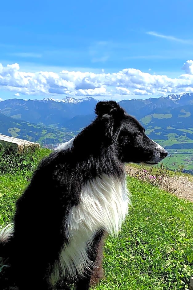 Alpstein das Gasthaus