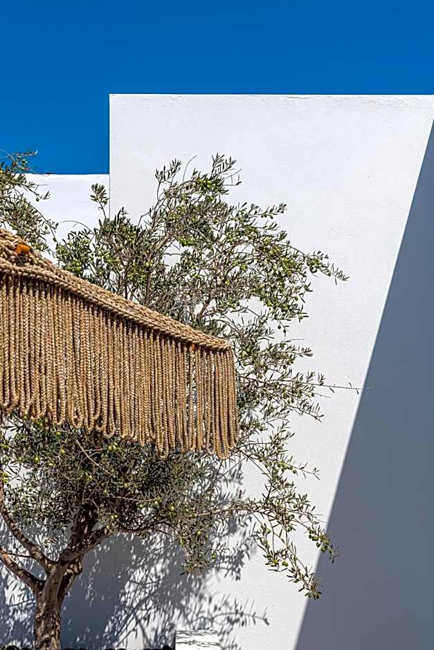 Andronis Arcadia Hotel