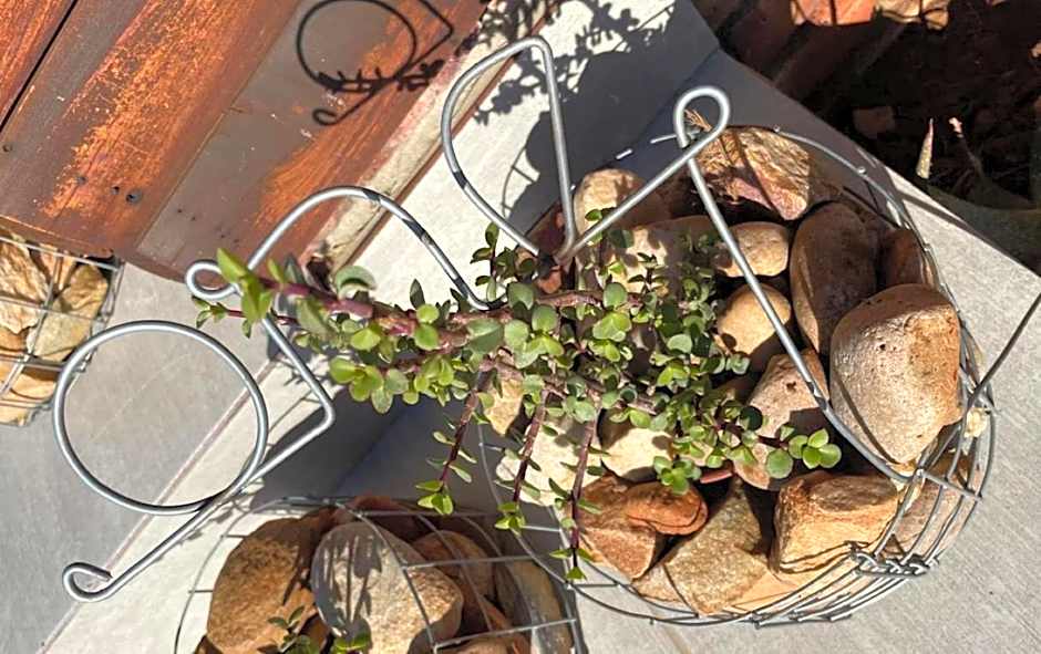 Klein Karoo Game Lodge