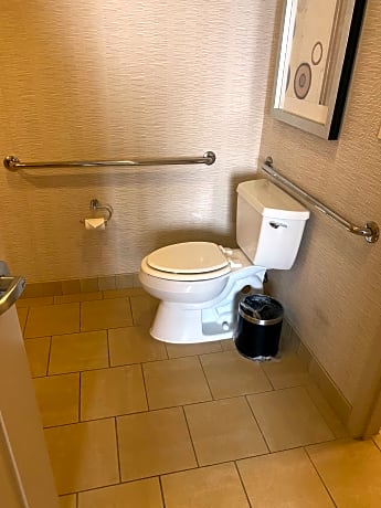 Suite King Bed One Bedroom 