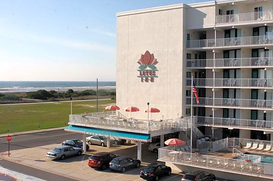 Lotus Inn