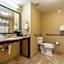 Hampton Inn By Hilton & Suites Orlando-South Lake Buena Vista