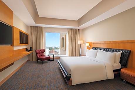 Presidential Suite ,15% discount on Food and Soft beverages,02hr of Early check-in or late check-out (subject to availability)