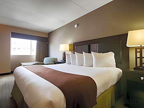 Deluxe Queen Room with Roll-in Shower - Disability Access