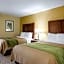 Comfort Inn Columbia West