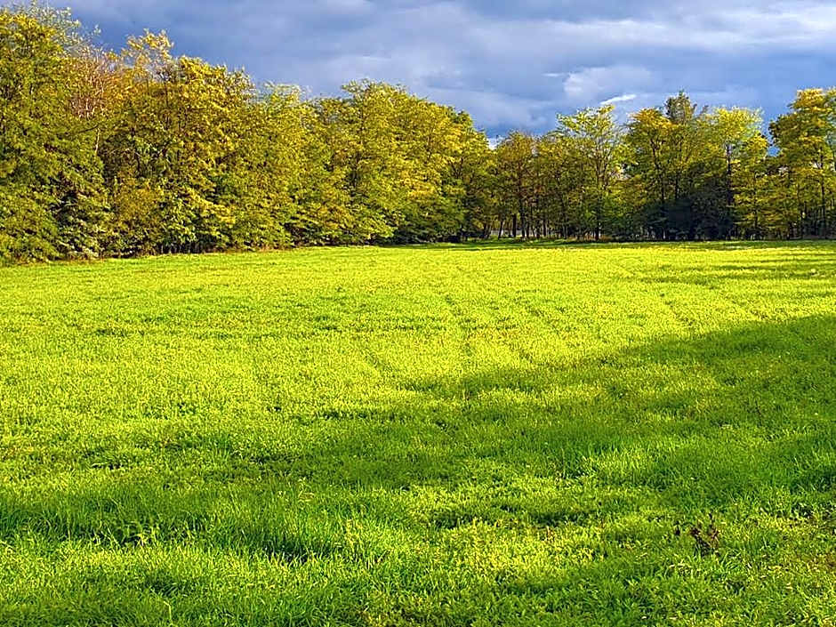 The Luxo Wine Museum & Hotel