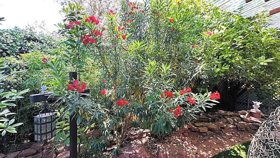 Lantern Light Inn - Romantic Getaway