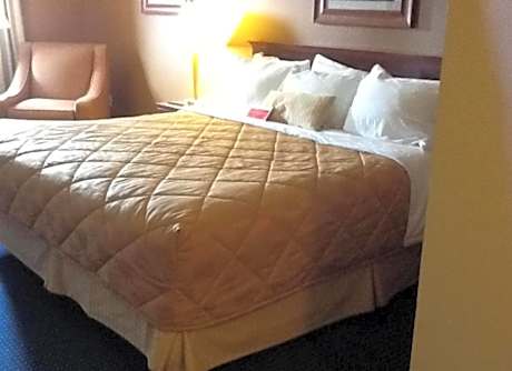 Standard Room with One King Bed - Non-Smoking