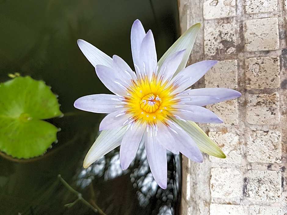 Victorskloof lodge & Spa