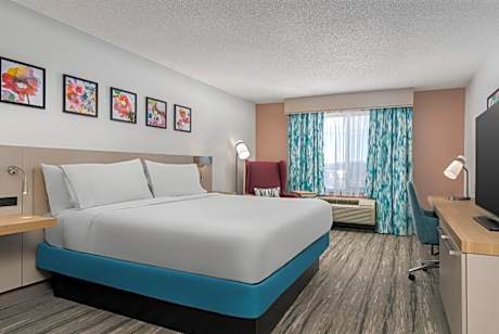 King Room