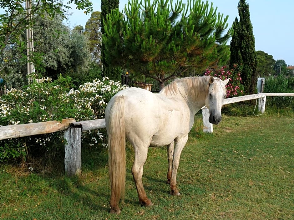 Bergerie d'Alivon en Camargue