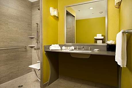 2 QUEEN MOBILITY ACCESSIBLE W/ROLLIN SHOWER