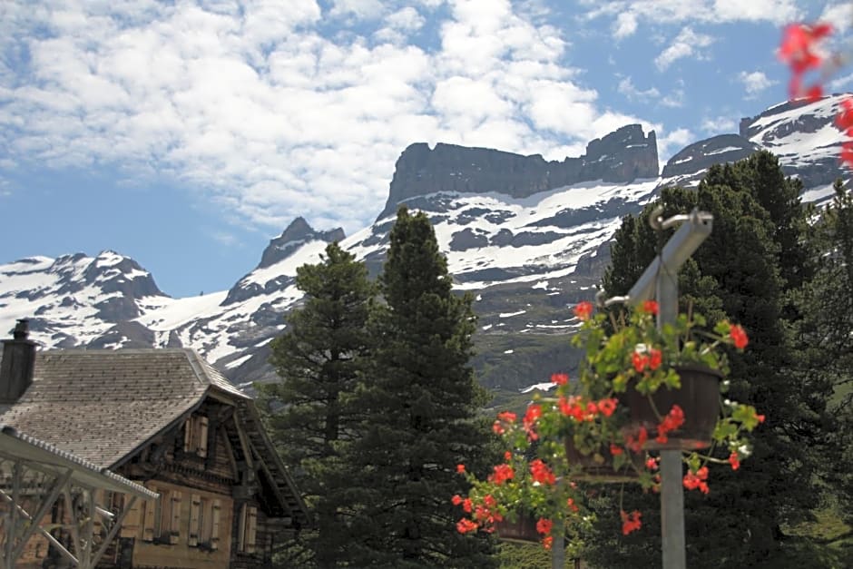 Alpenrose