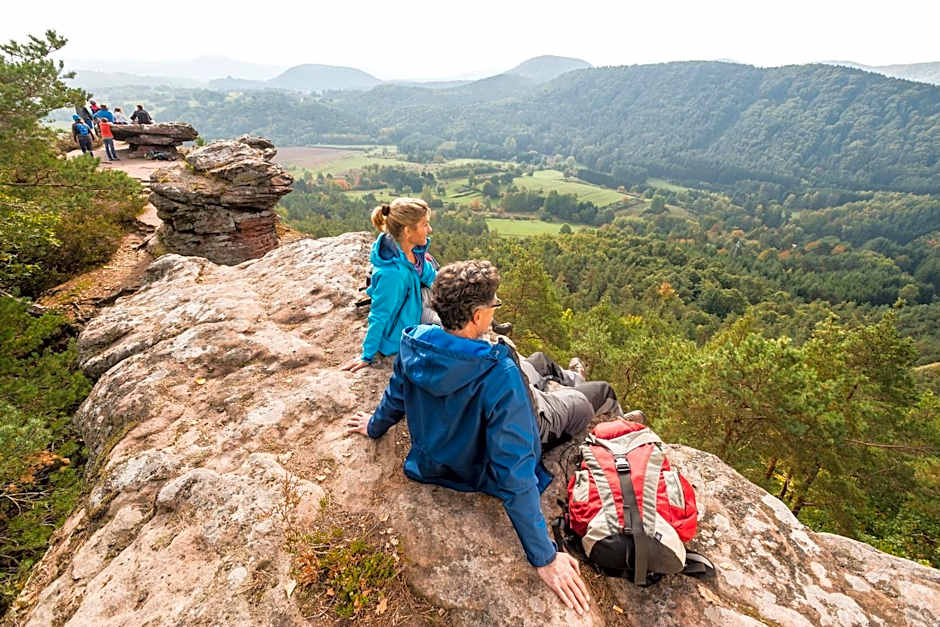 Hotel Am Hirschhorn - Wellness - Spa - and more