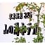 Kusatsu Onsen 326 Yamanoyu Hotel - Vacation STAY 10465v