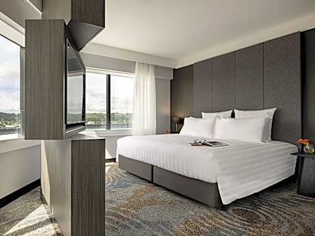 Superior King Suite with City View