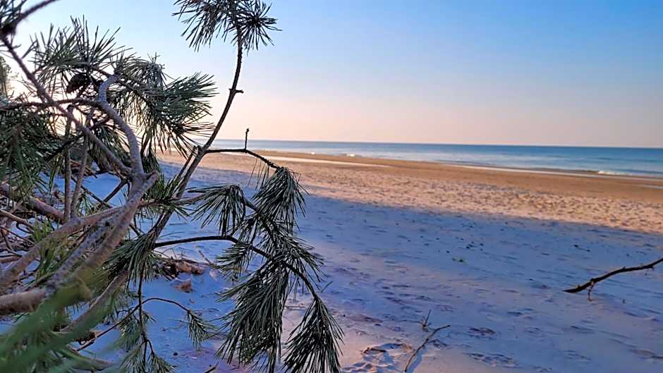 Rewita Rogowo k Kołobrzegu