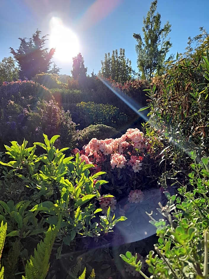 Hillside Bed and Breakfast