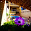 Narcisa Farmhouse B&B
