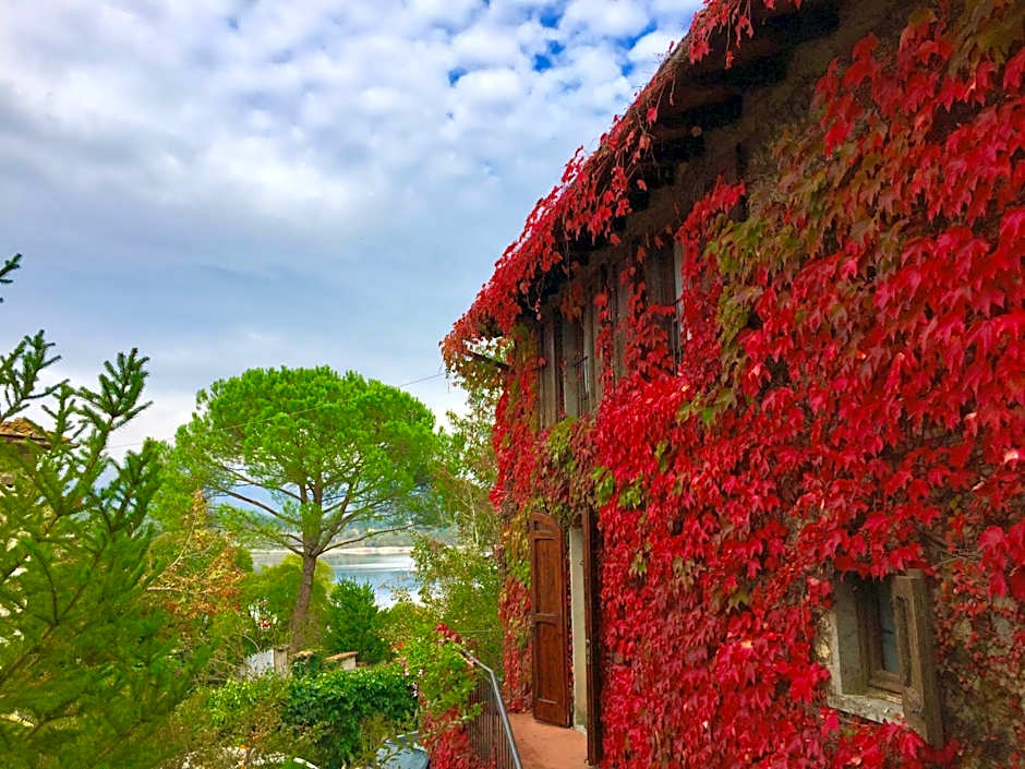 B&B Appartamenti Villa del lago