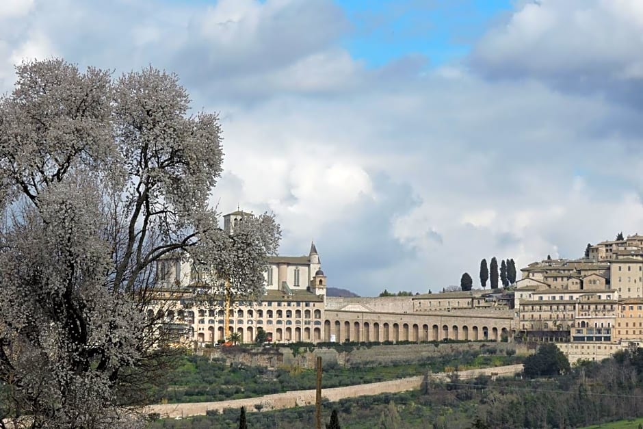 Da Franca