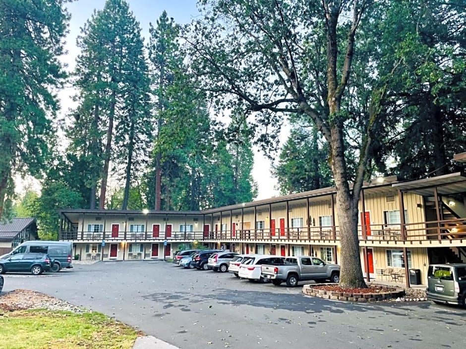 Shasta Inn