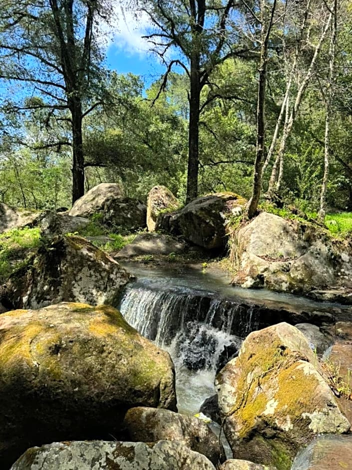 Rancho Campestre Virgen del Río
