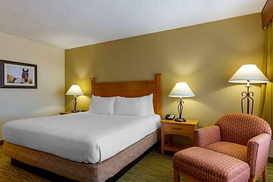 Best Western Paint Pony Lodge