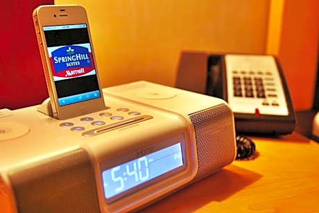 Parlor, Larger Studio, 1 King, Sofa bed