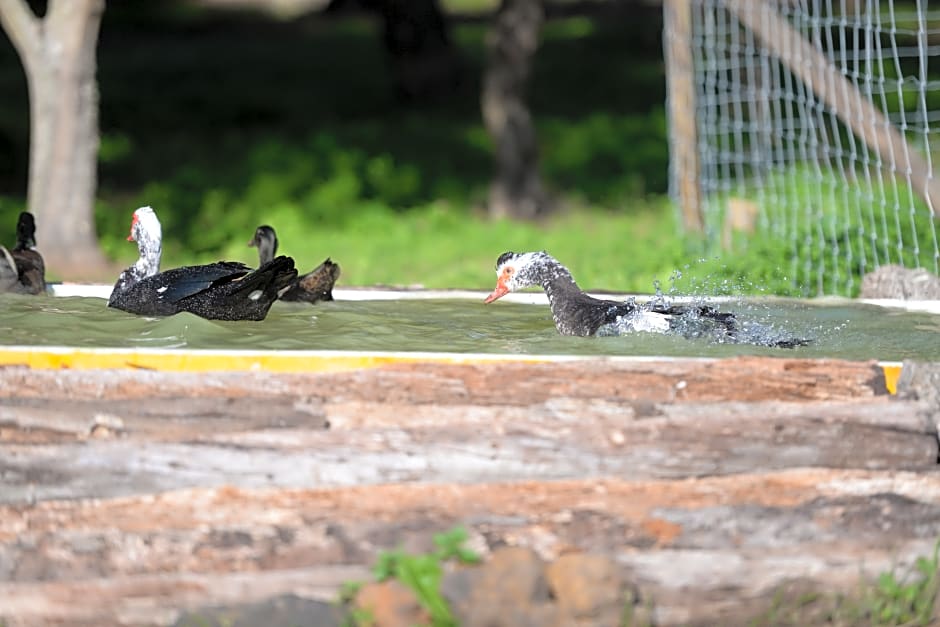 Quinta Da Samoqueirinha