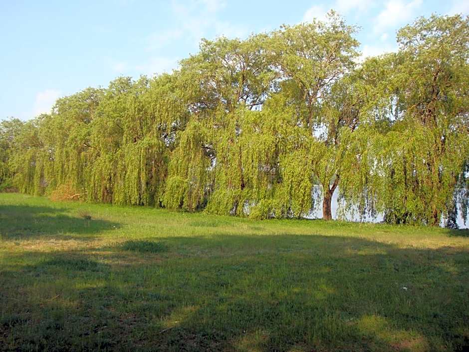 Hotel am Wariner See