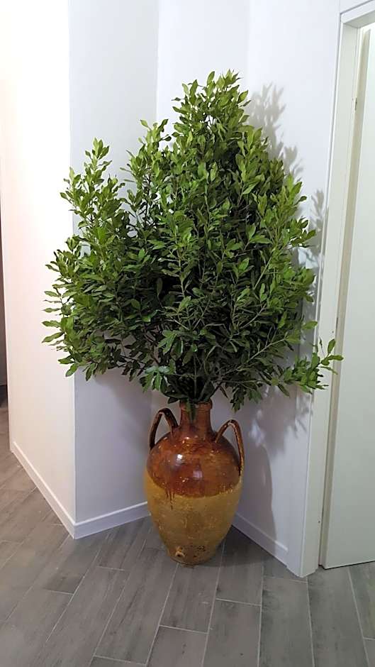 Dafne Marsala Centro