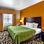 Quality Suites Addison-Dallas