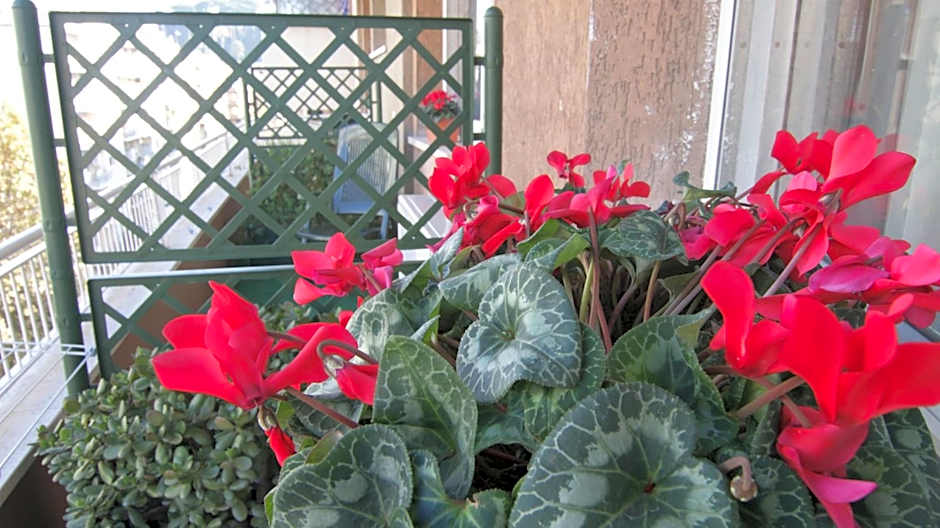 B&B La Perla di Roma