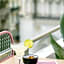 Mercure Nice Centre Notre Dame
