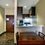 Comfort Suites Houston near Medical Center - NRG Stadium