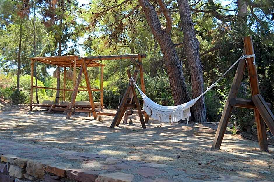 Cook's Club Ialysos Rhodes