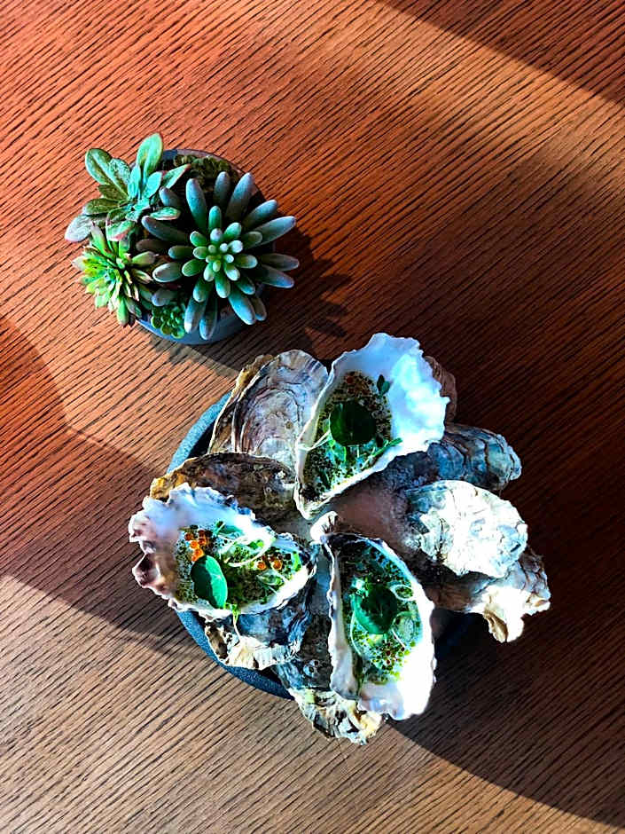 Hotel Sophia by Tartuhotels