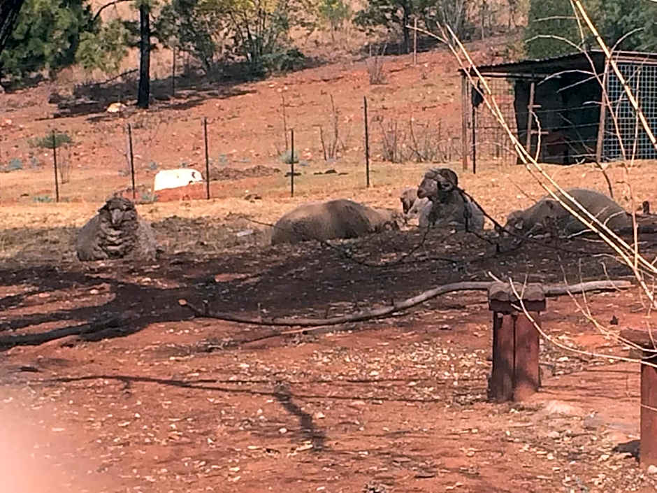 The Cradle Berry Farm