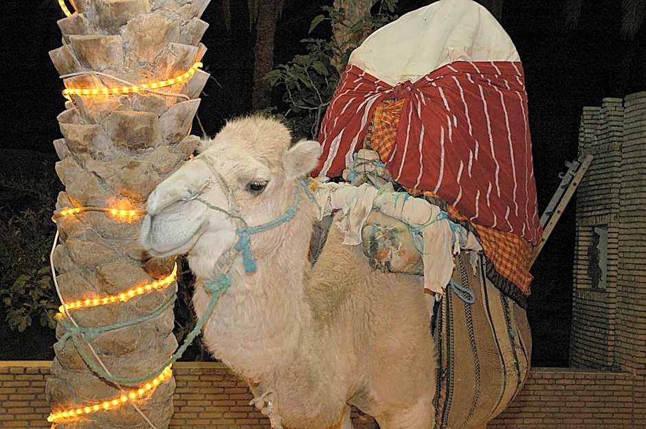El Mouradi Tozeur