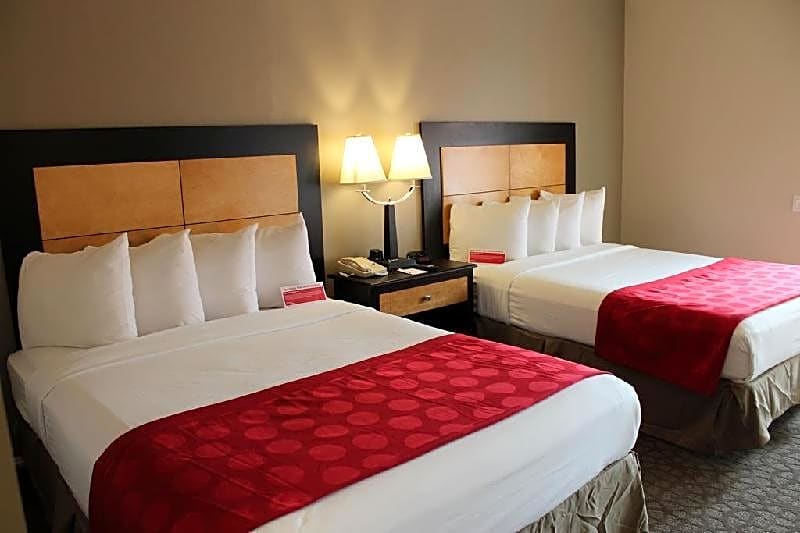 The Live Hotel